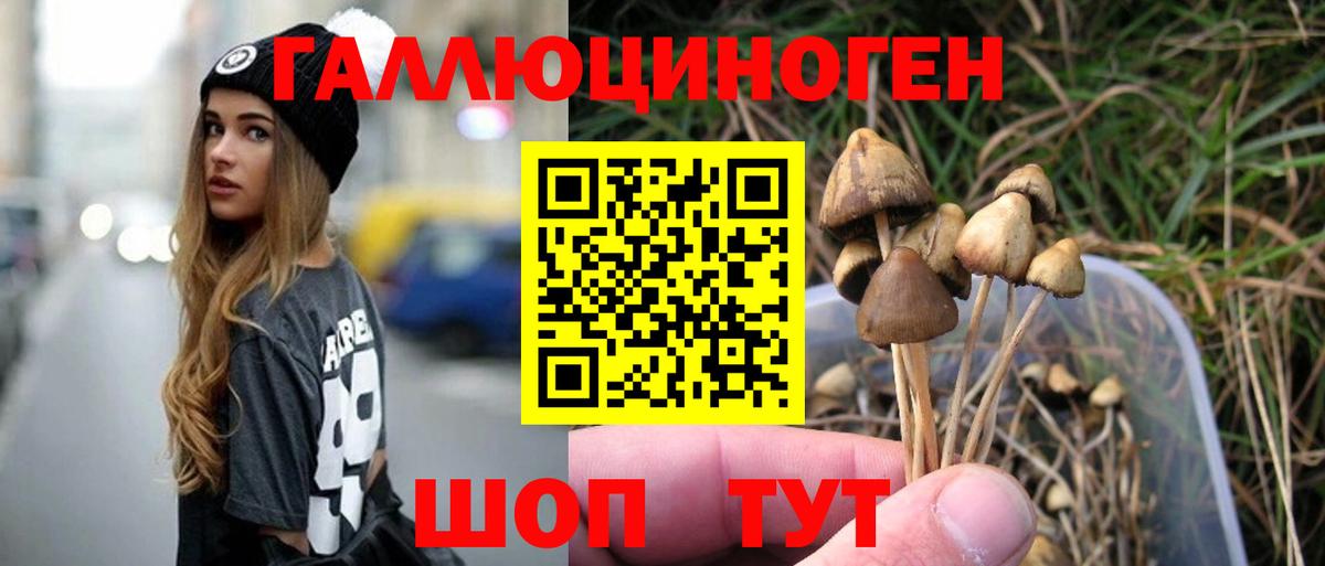 Псилоцибиновые грибы прущие грибы Буйнакск