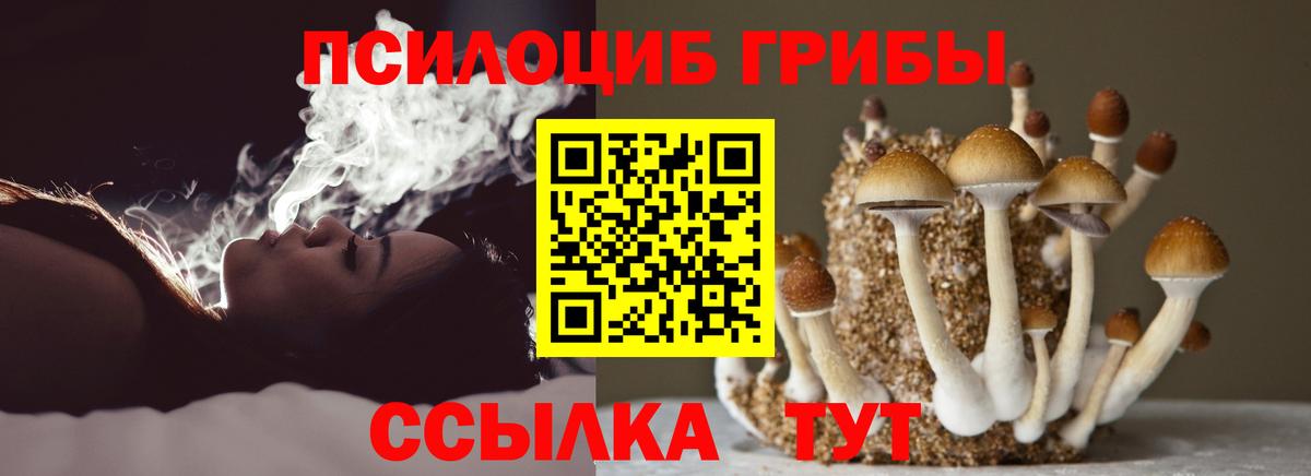 Буйнакск  Галлюциногенные грибы MAGIC MUSHROOMS  Галлюциногенные грибы Magic Shrooms  Вход с VPN 